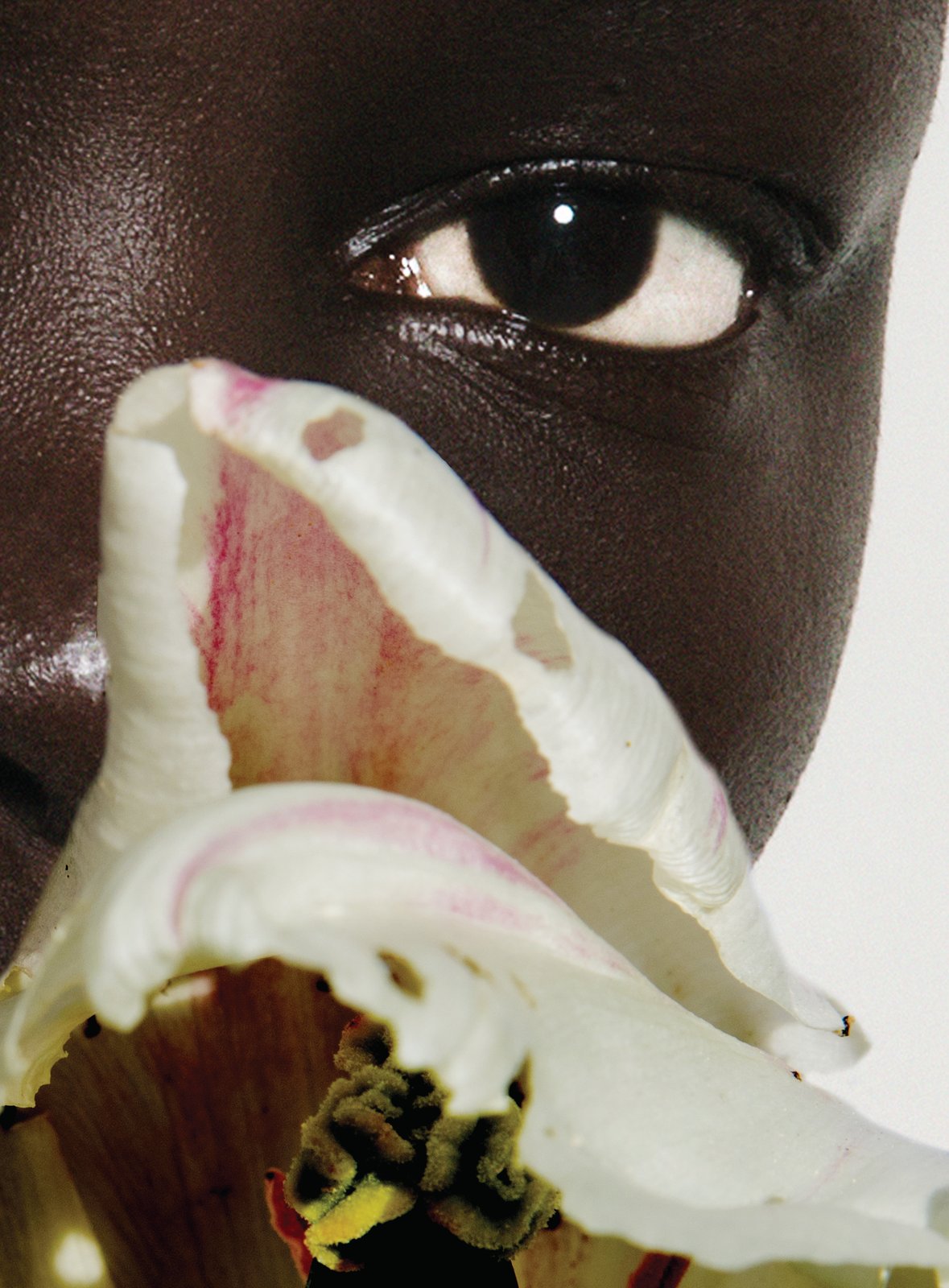 Orchid held to the face