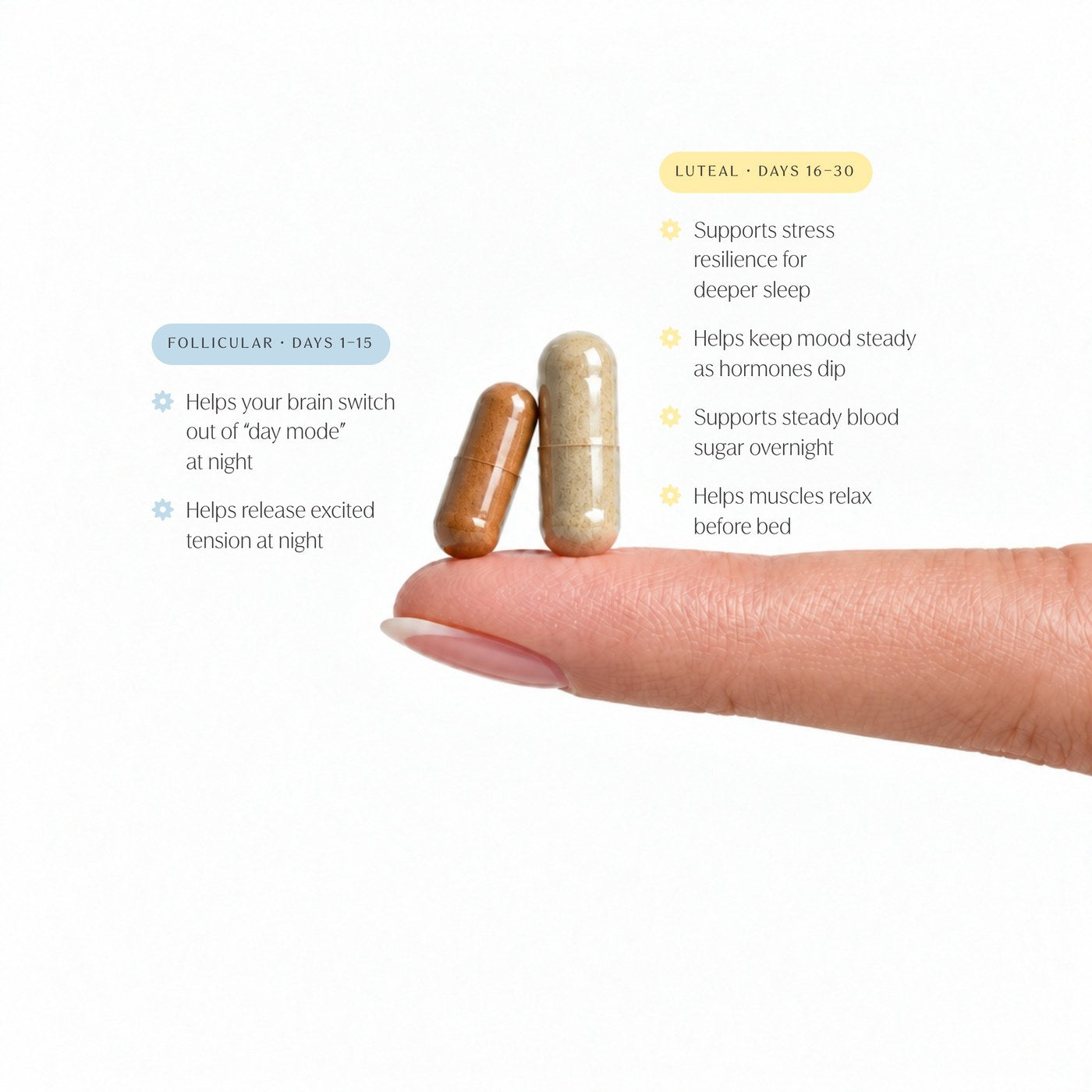 Sleep Primer follicular and luteal capsule callouts